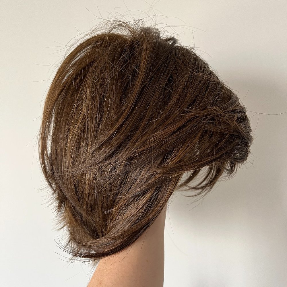 NWT Hairdo Textured Fringe Bob (heat resistant synthetic)